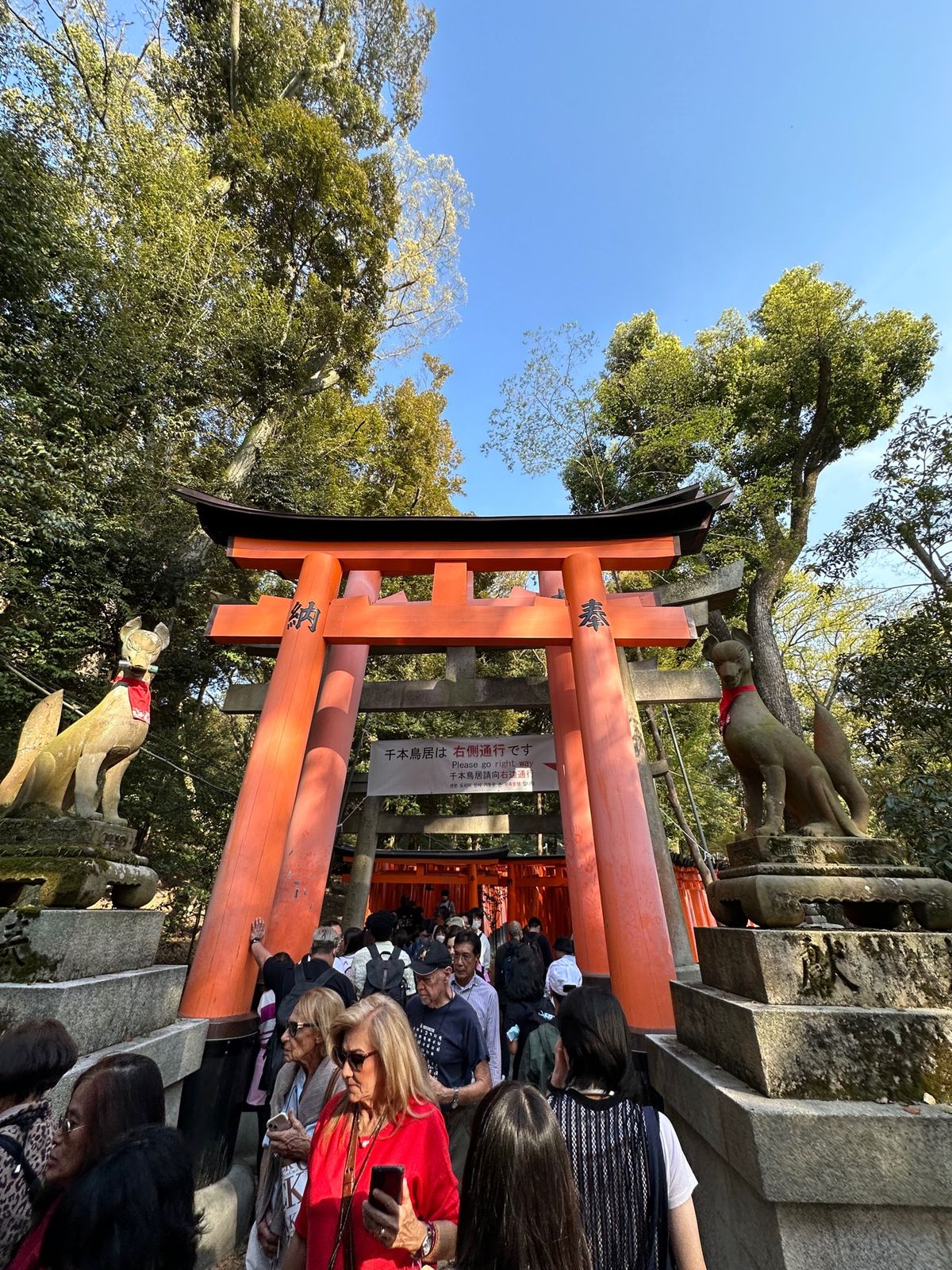 伏見稲荷神社に行って参りました
鳥居が1000個もあります