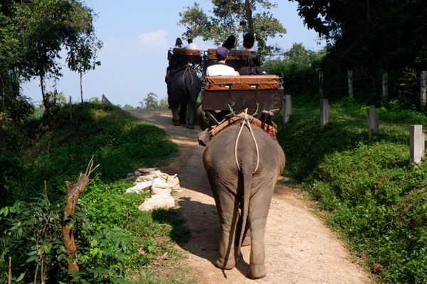 タイ・チェンマイ「チェンマイ」の写真