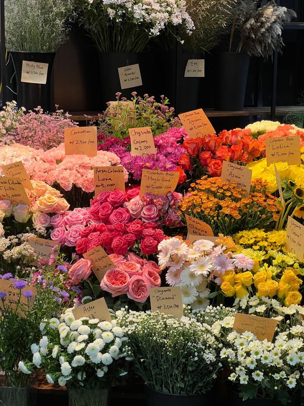 大韓民国 (韓国)・ソウル「ソウル」の写真