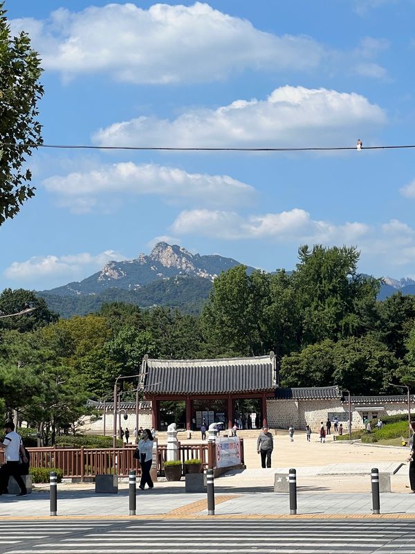 大韓民国 (韓国)・ソウル「ソウル」の写真