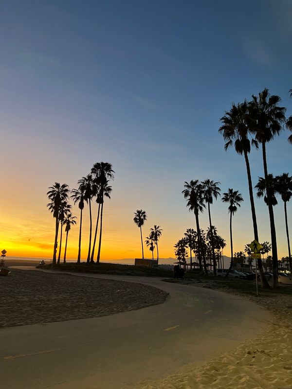 アメリカ(米国)・ロサンゼルス「ロサンゼルス」の写真