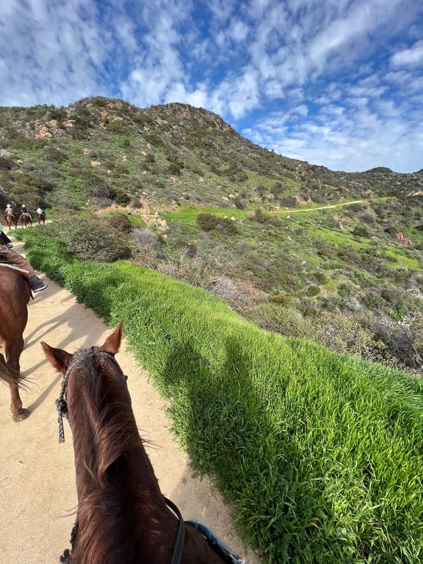 アメリカ(米国)・ロサンゼルス「ロサンゼルス」の写真