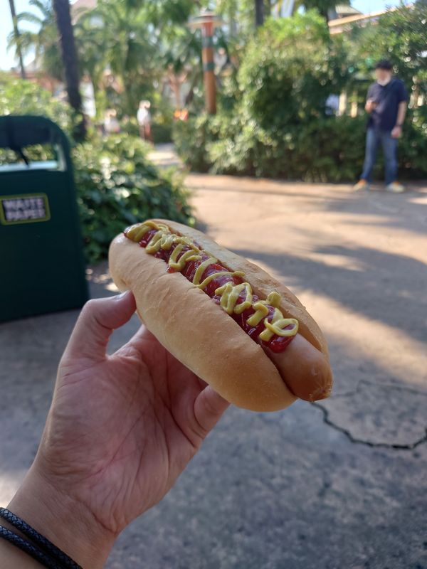 日本・USJ「USJ ハロウィンナイト🎃」の写真