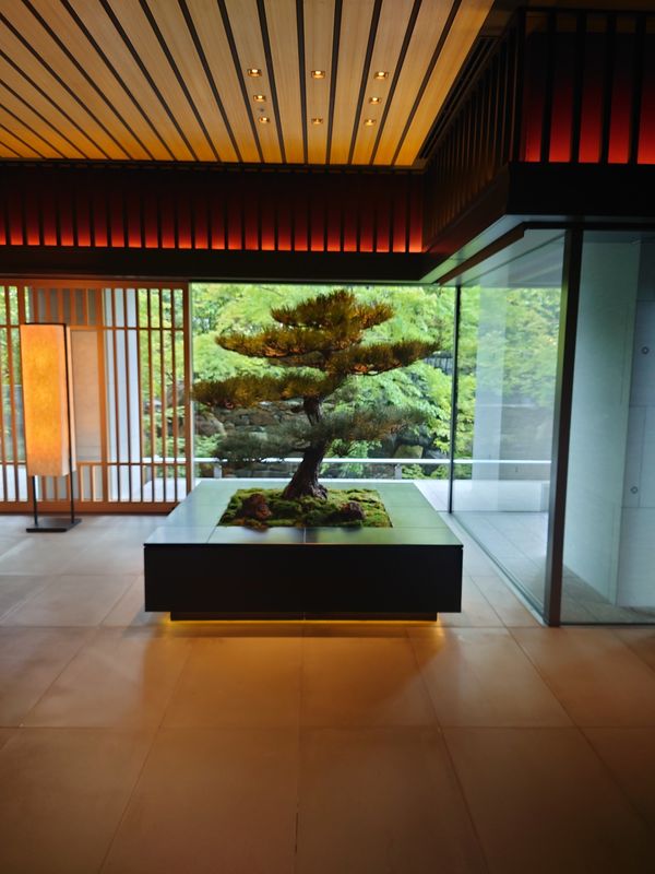 日本・京都府「リッツカールトン京都」の写真