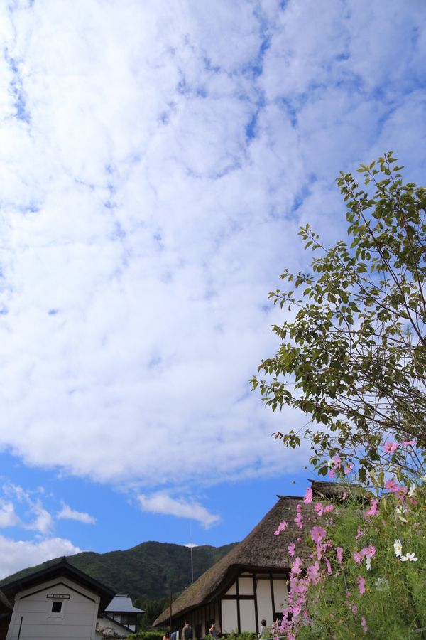 日本・会津若松「福島旅行」の写真