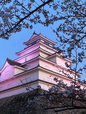 夕方の鶴ヶ城。偶然にﾗｲﾄｱｯﾌﾟ点灯式。夜桜。