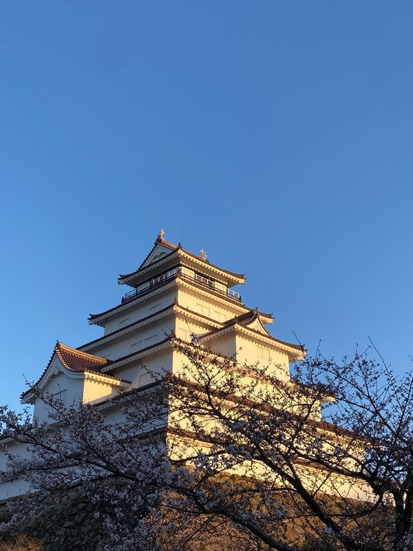 日本・福島県会津若松市「🌸さくら2023In福島」の写真：夕方の鶴ヶ城。偶然にﾗｲﾄｱｯﾌﾟ点灯式...