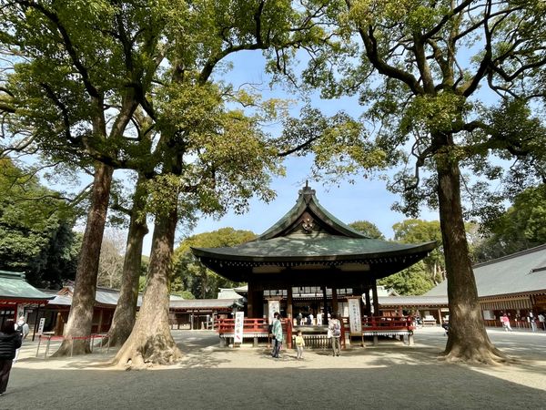 日本・氷川神社「合格祈願」の写真：息子の御祈願に🙏