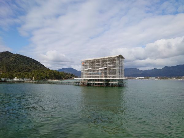 日本・宮島「日本三大庭園制覇旅in 広島・岡山・兵庫」の写真：う、うそでしょ？！
宮島まで来てまさかの...