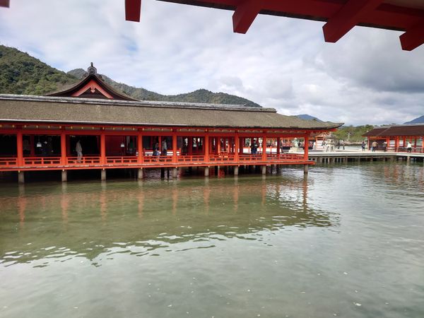 日本・宮島「日本三大庭園制覇旅in 広島・岡山・兵庫」の写真