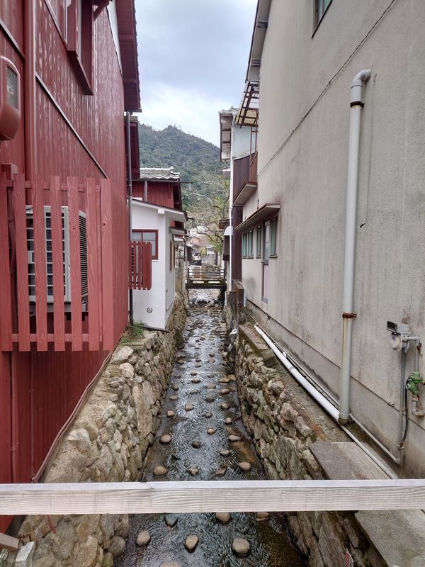 日本・宮島「日本三大庭園制覇旅in 広島・岡山・兵庫」の写真