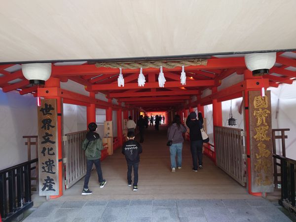 日本・宮島「日本三大庭園制覇旅in 広島・岡山・兵庫」の写真