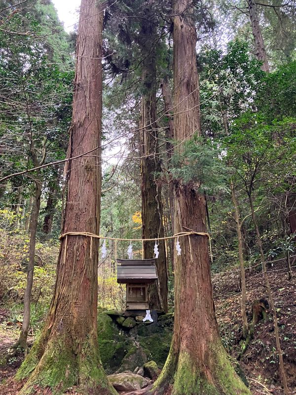 日本・茨城県日立市「茨城観光」の写真