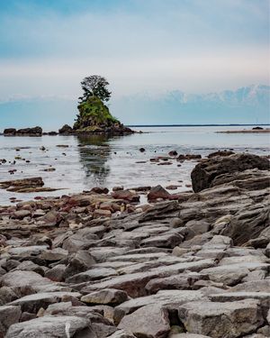 富山の景色と食材を堪能する旅。