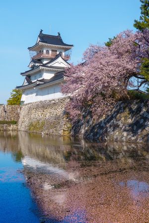 富山の景色と食材を堪能する旅。