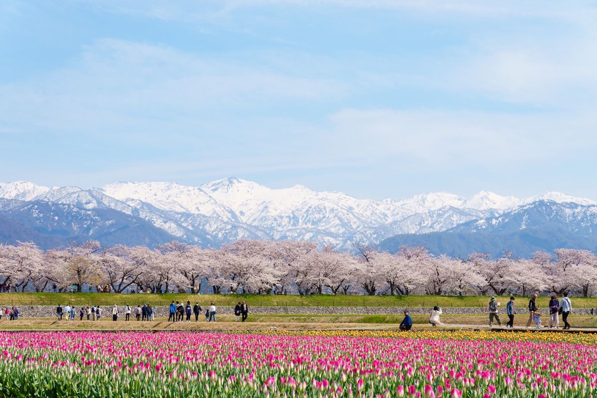 富山の景色と食材を堪能する旅。