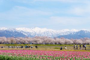 富山の景色と食材を堪能する旅。