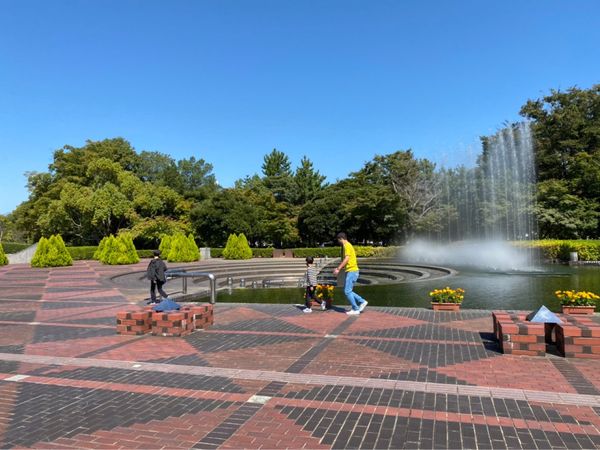 日本・山梨県「シャインマスカット狩り&お茶カフェ in 山梨・静岡」の写真