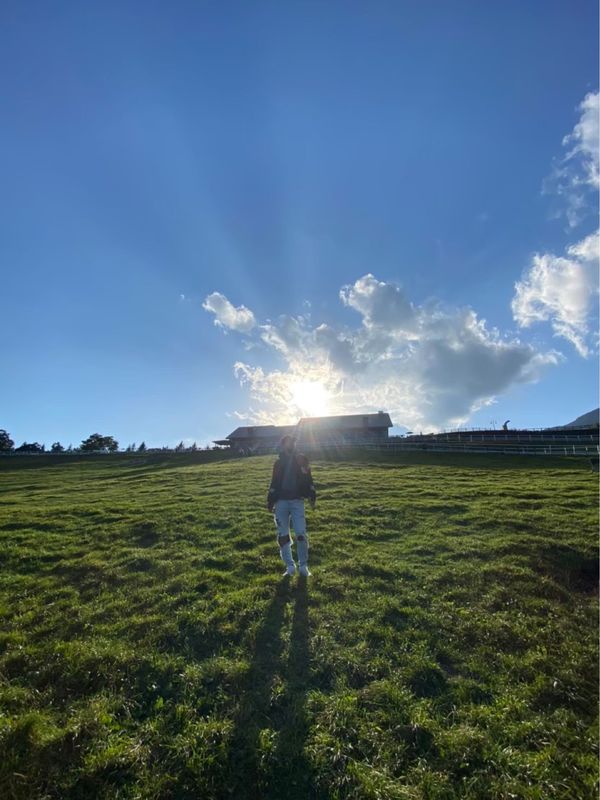 日本・山梨県「シャインマスカット狩り&お茶カフェ in 山梨・静岡」の写真