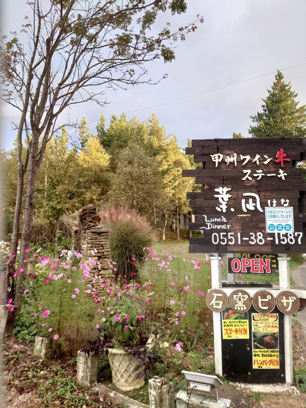 日本・山梨県「シャインマスカット狩り&お茶カフェ in 山梨・静岡」の写真