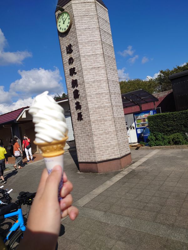 日本・山梨県「シャインマスカット狩り&お茶カフェ in 山梨・静岡」の写真