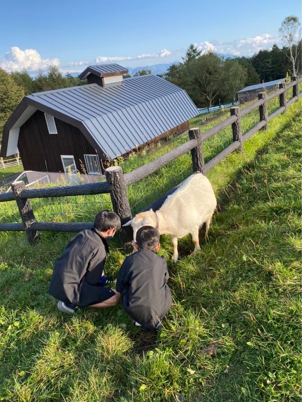 日本・山梨県「シャインマスカット狩り&お茶カフェ in 山梨・静岡」の写真