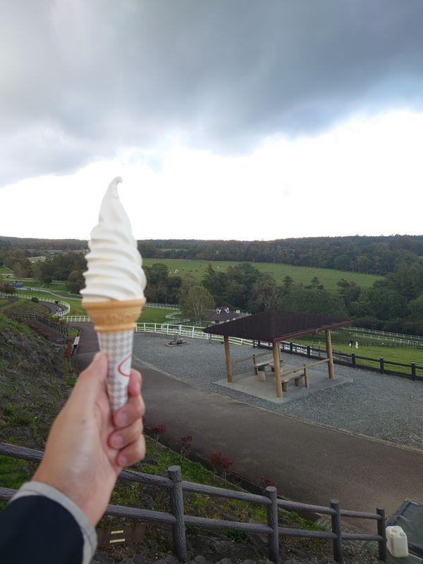 日本・山梨県「シャインマスカット狩り&お茶カフェ in 山梨・静岡」の写真