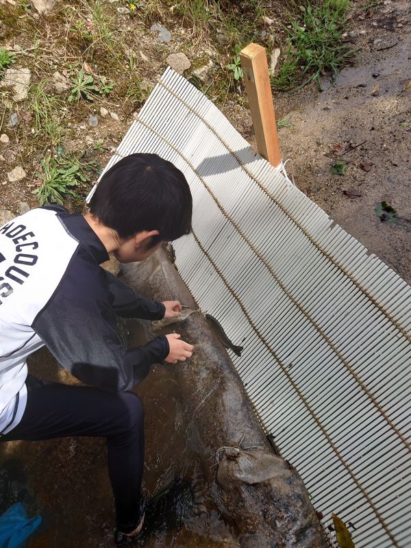 日本・滋賀県「グルキャン at マキノ高原キャンプ場」の写真：つかみ取り