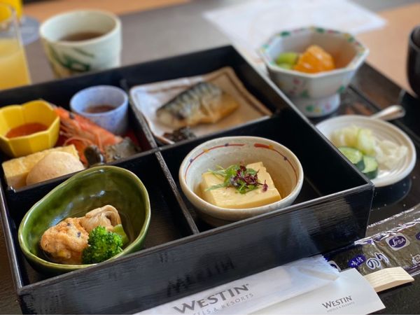 日本・北海道「北海道旅行」の写真