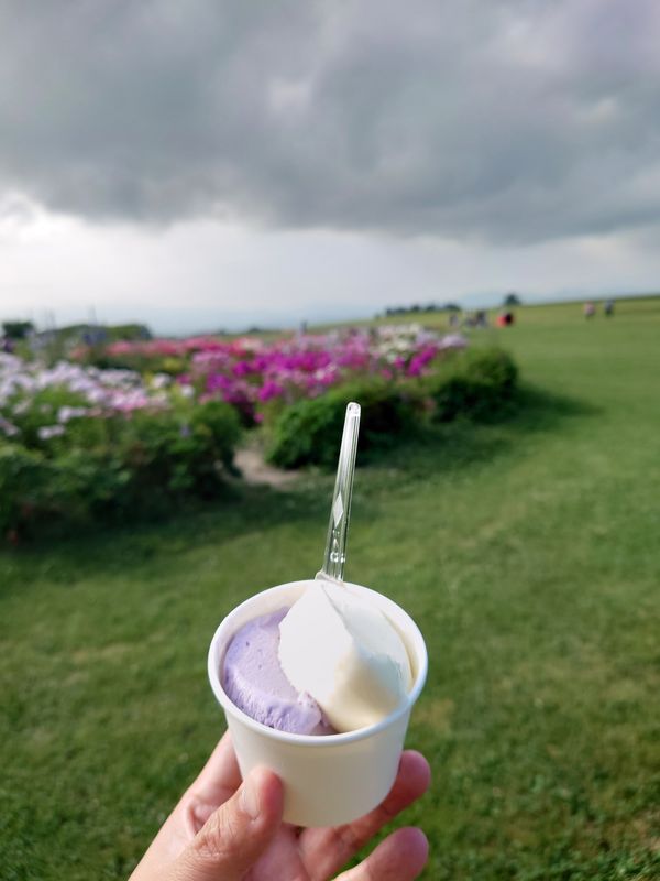 日本・北海道「北海道旅行」の写真