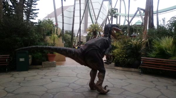 日本・USJ「道頓堀&USJ」の写真