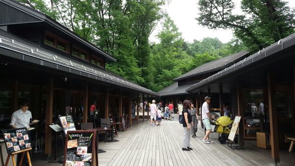 日本・軽井沢「白樺湖&軽井沢 in 長野」の写真