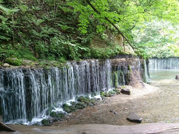日本・軽井沢「白樺湖&軽井沢 in 長野」の写真
