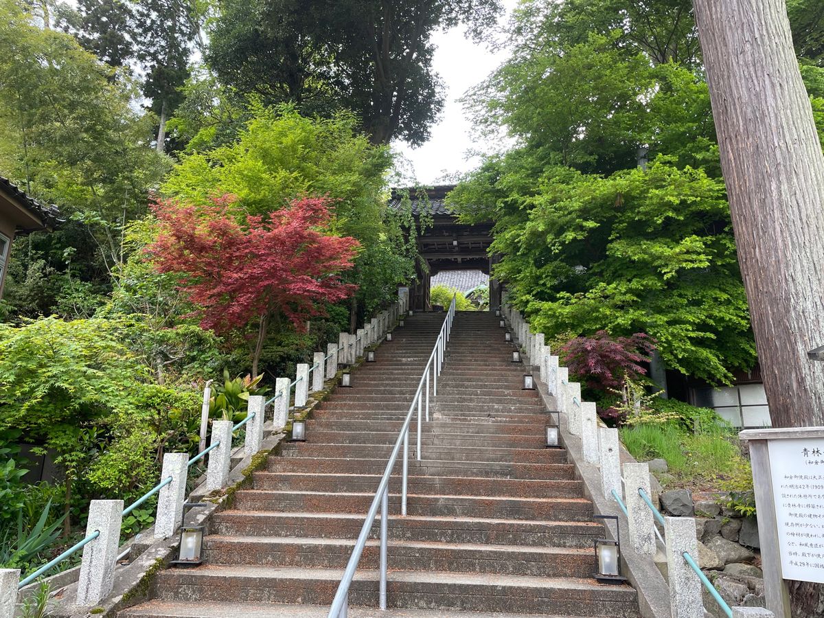 和倉温泉にある青林寺。京都の瑠璃光院のような感じです。建物は大正天皇の御幸...
