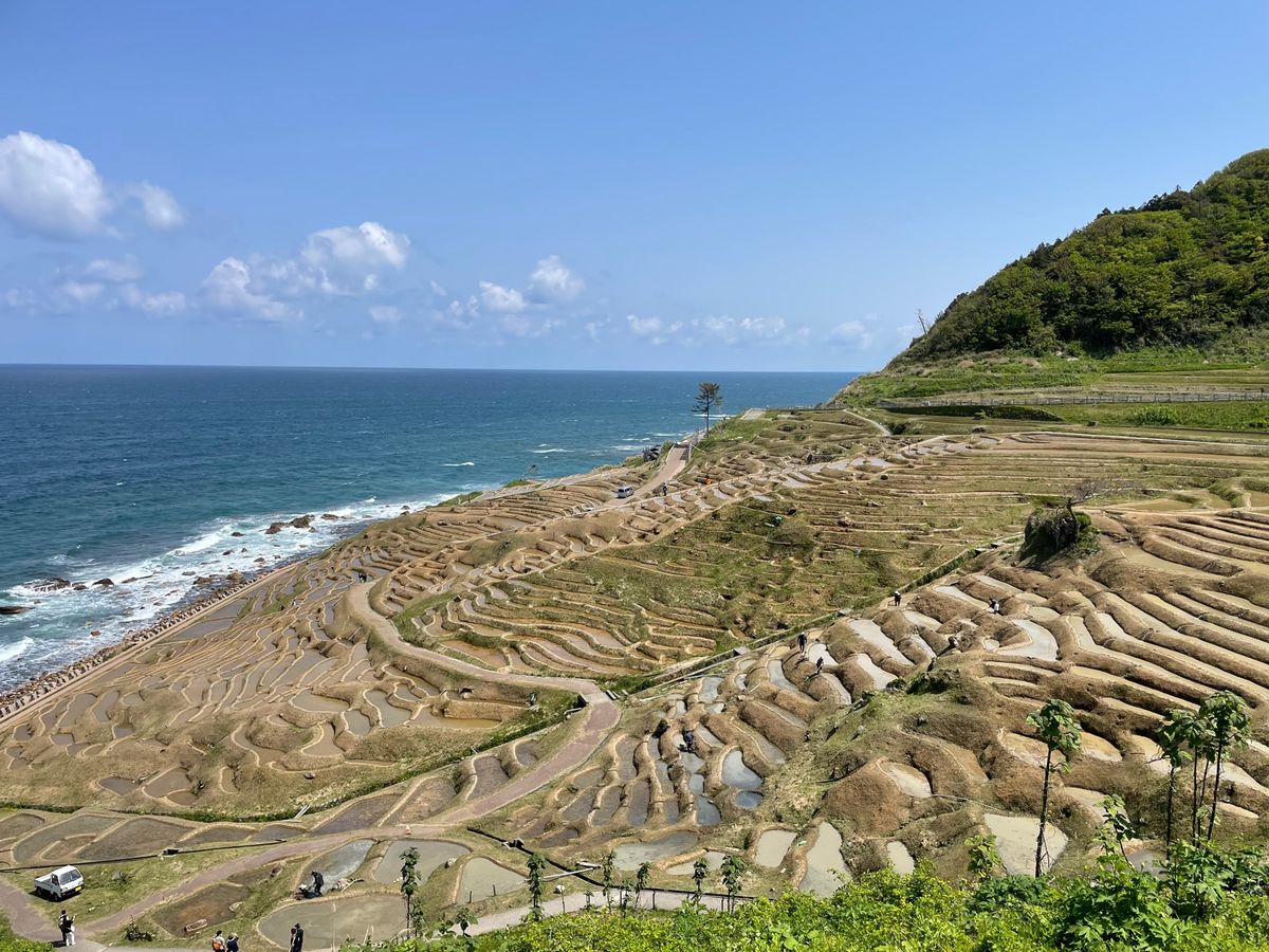 世界農業遺産にも登録されている千枚田。まだ田植えは行われていませんでした。
