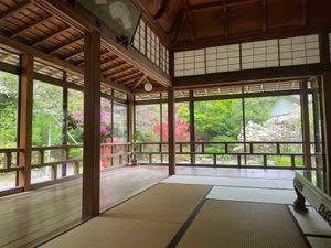 和倉温泉にある青林寺。京都の瑠璃光院のような感じです。建物は大正天皇の御幸...