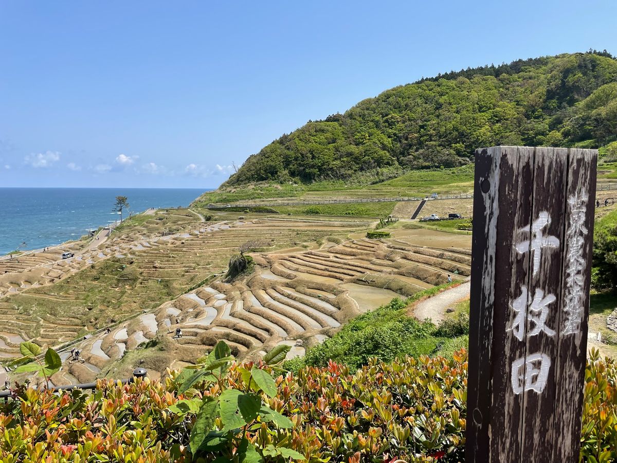 世界農業遺産にも登録されている千枚田。まだ田植えは行われていませんでした。
