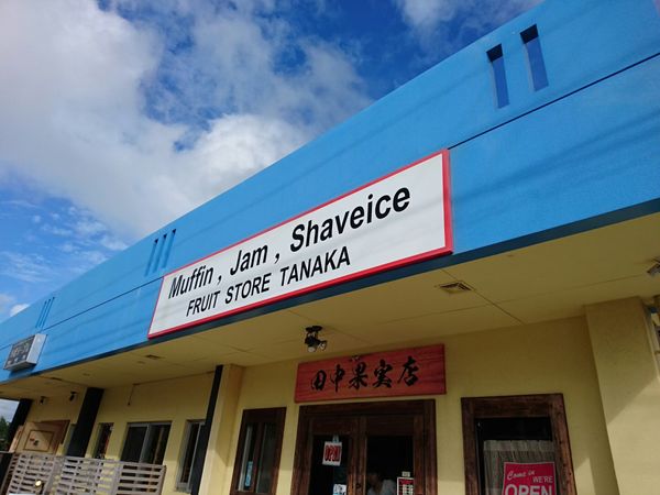 日本・沖縄県「沖縄本島旅行」の写真