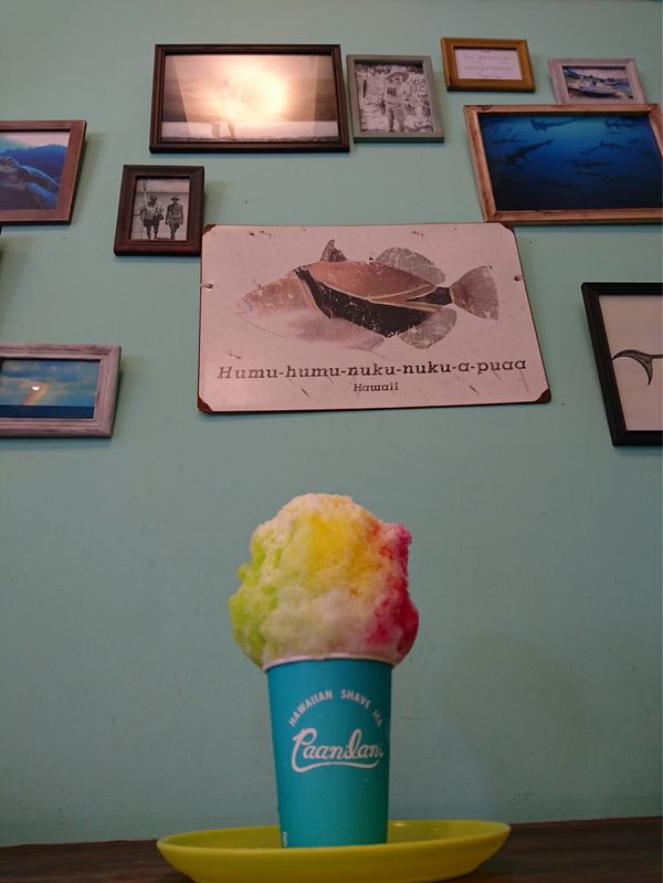 日本・沖縄県「沖縄本島旅行」の写真