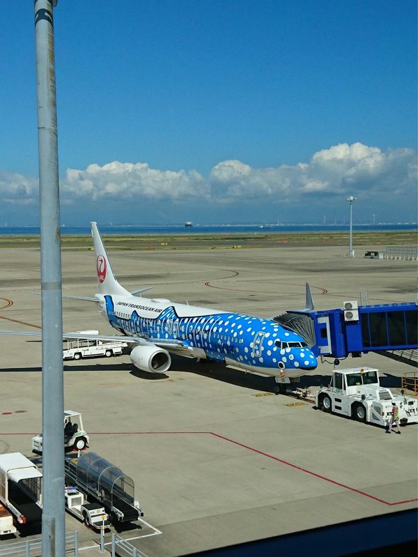 日本・沖縄県「沖縄本島旅行」の写真