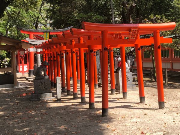 日本・福岡県「崇敬神社巡り一」の写真