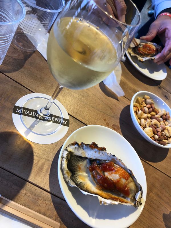 日本・広島県「YEG中国ブロック大会」の写真