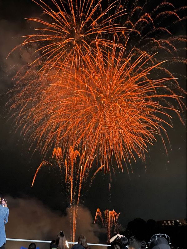 日本・岡山県「津山ごんご祭り」の写真