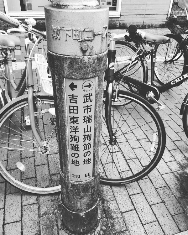 日本・高知県「四人旅行高知」の写真