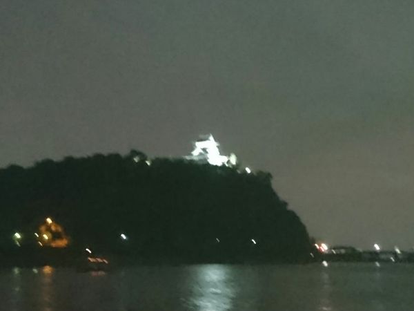 日本・愛知県「犬山鵜飼い&花火」の写真