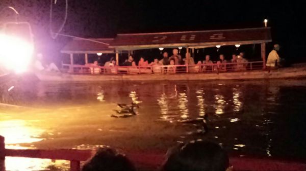 日本・愛知県「犬山鵜飼い&花火」の写真
