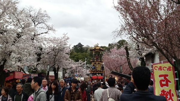 日本・愛知県「犬山祭り at 犬山」の写真