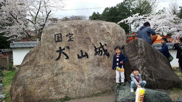 日本・愛知県「犬山祭り at 犬山」の写真