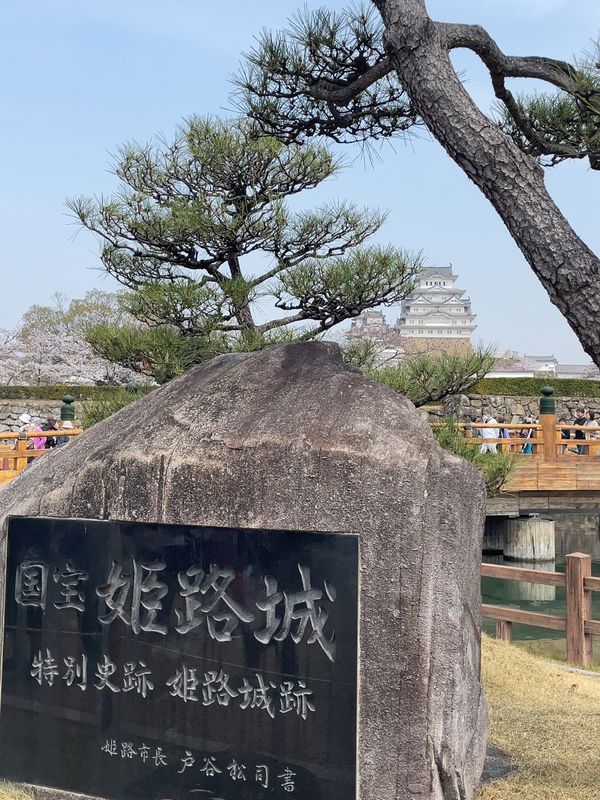 日本・姫路城「姫路城と桜」の写真
