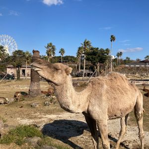 永明、桃浜、桜浜が中国帰る前に来れてよかった
やっと、楓ちゃんもお目にかか...